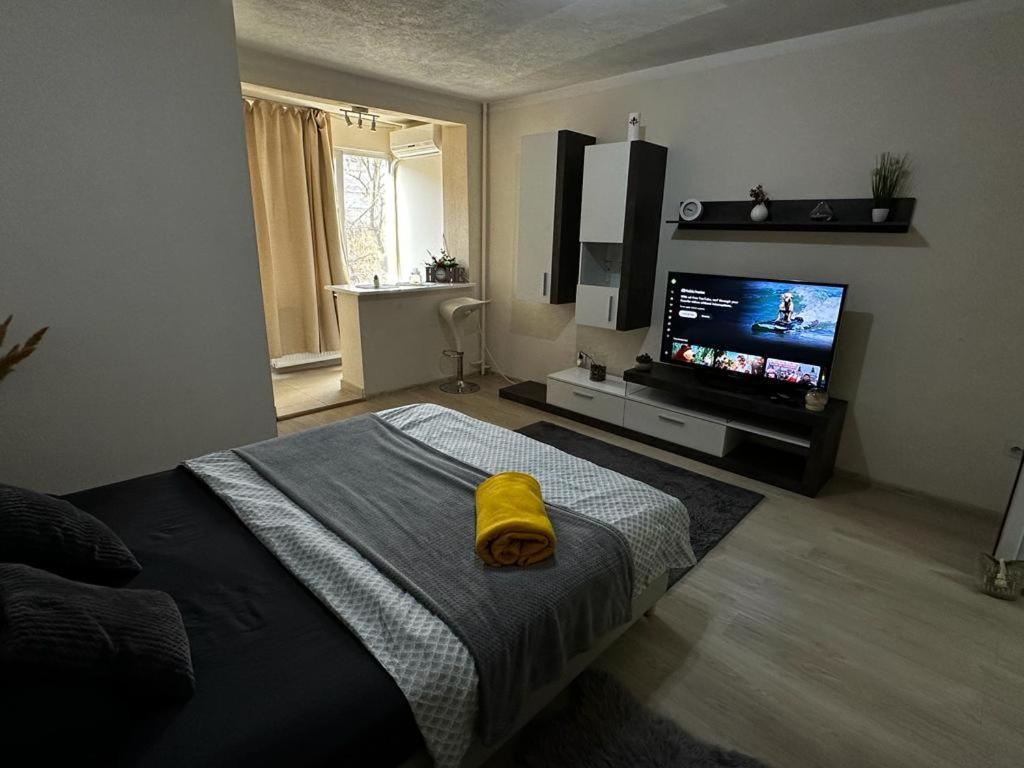 Reeas Apartament Timişoara Exterior foto