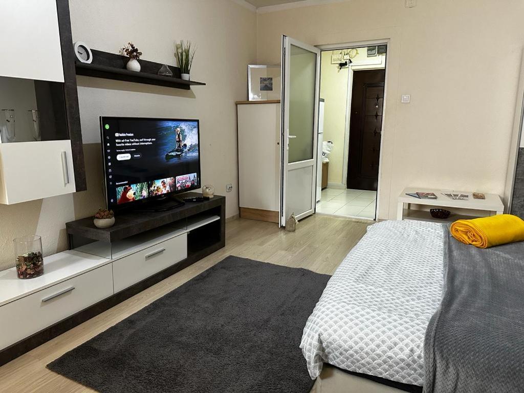 Reeas Apartament Timişoara Exterior foto