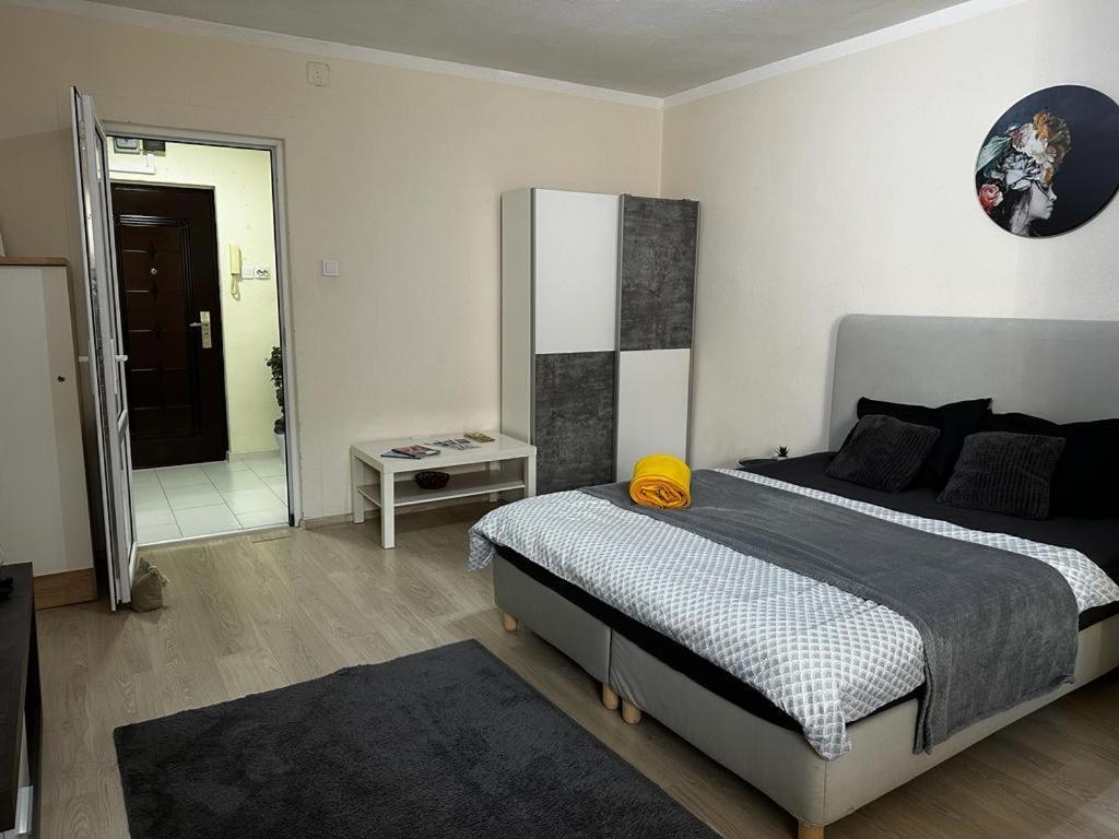 Reeas Apartament Timişoara Exterior foto